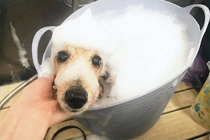 季節のキャンペーン