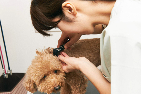 スキンケア＆アレルギーケア