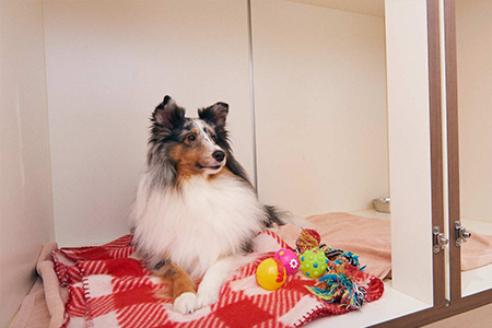 24Hステイ（1泊）