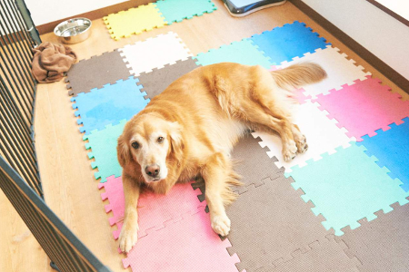 ショート＆ワンデイステイ