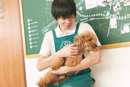 ショート＆ワンデイステイ