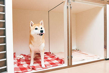 ショート＆ワンデイステイ