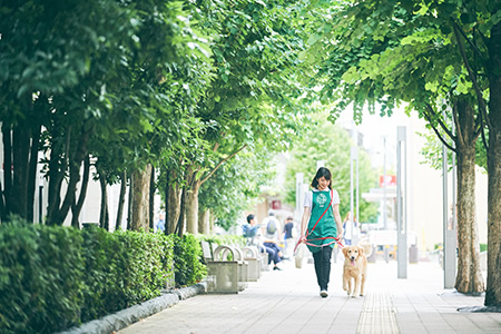 ショート＆ワンデイステイ